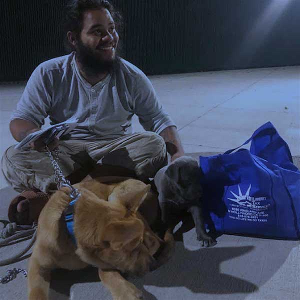 Homeless pet with owner