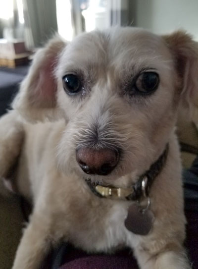 Zoe
