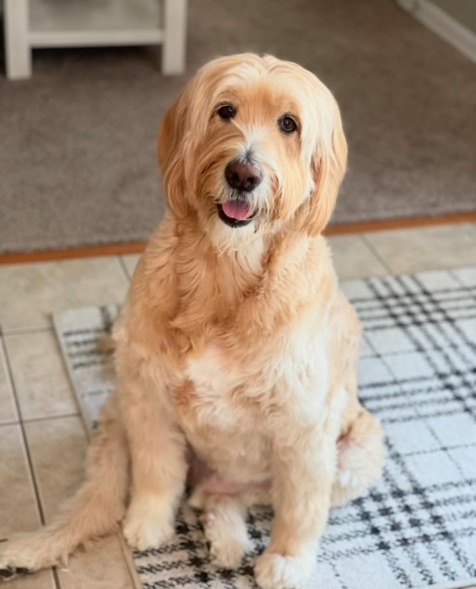 Marley