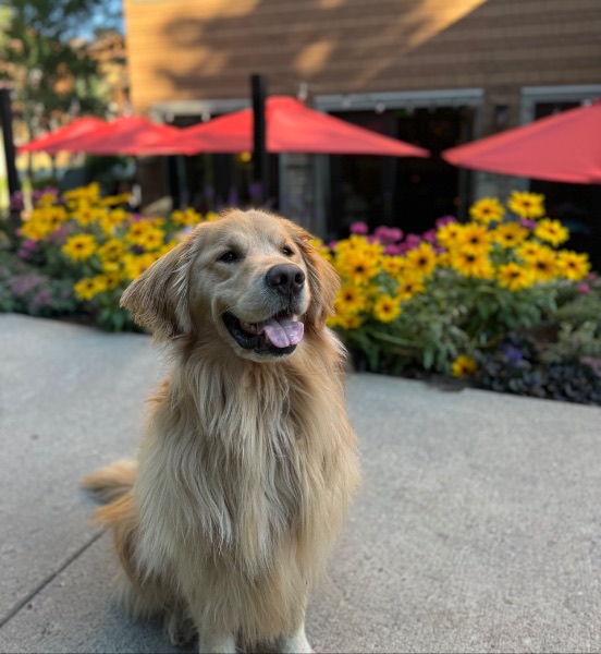 Charlie
